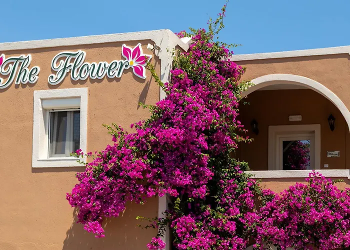 Pension The Flower